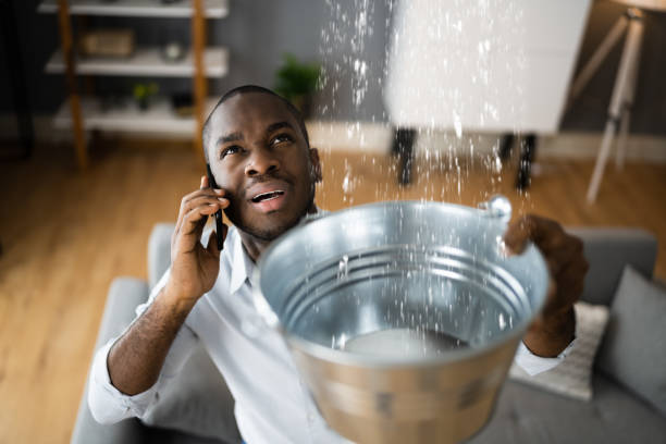 Best Flooded house restoration  in Fruit Heights, UT