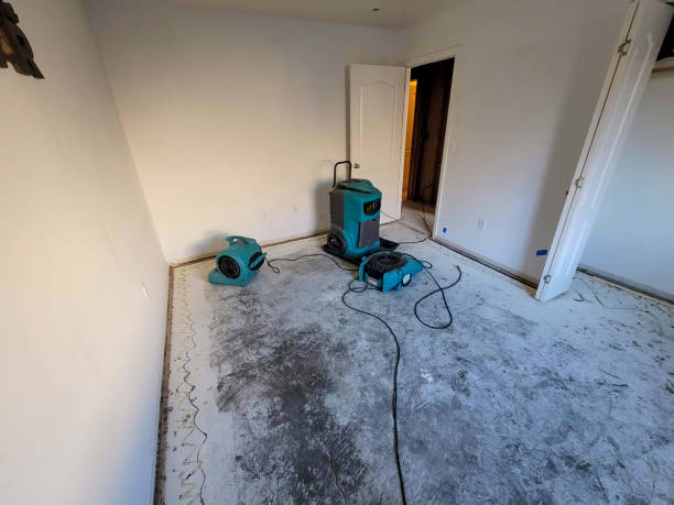 Best Water damage restoration near me  in Fruit Heights, UT