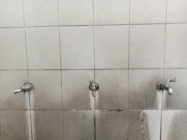 Best Fire Damage Restoration  in Fruit Heights, UT