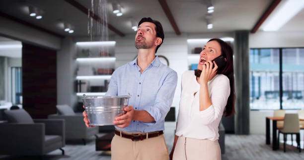 Best Emergency water damage restoration  in Fruit Heights, UT